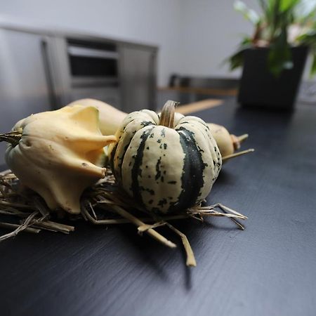 !!!Uniek!!! Rijksmonument Centrum Harlingen Zewnętrze zdjęcie
